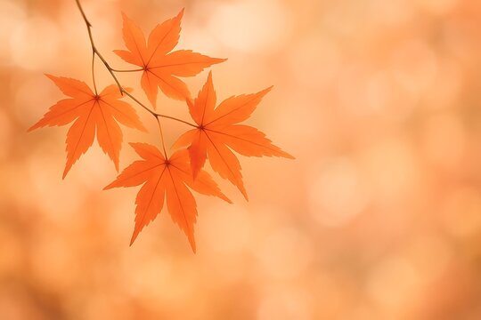 Vibrant orange maple leaves gently swaying on a branch in autumn