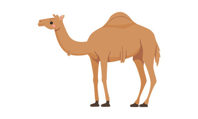 A cartoon illustration of a camel standing on a white background, with its distinctive hump and long legs.