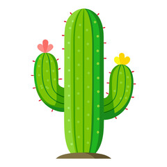 Vibrant green saguaro cactus with pink and yellow blooms radiates desert charm, perfect for natural design projects and vibrant summer themes.