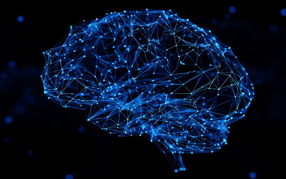 Digital Representation of a Human Brain with Connected Nodes