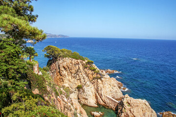 Rocky Mediterranean coastline with pine trees and blue sea in Costa Brava, Spain