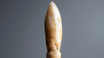 A close-up view of a light-colored, pointed object with a textured surface.