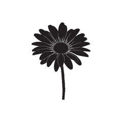 Daisy Vector (2).eps