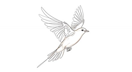 Obraz premium Line art dove in flight