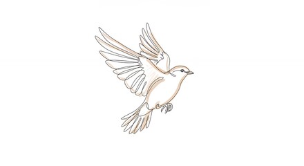 Fototapeta premium White bird flying