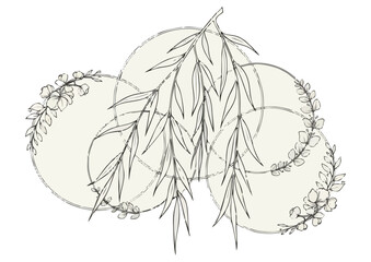 Stylized autumn maple leaf with orange and red hues on a white background, vector illustration 
