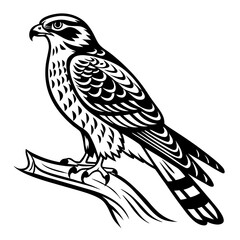 Obraz premium Stylized black and white illustration of a falcon perched on a branch