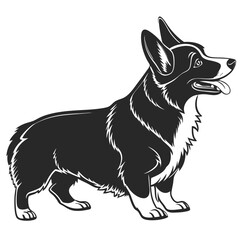 Fototapeta premium Black and white silhouette of a pembroke welsh corgi dog