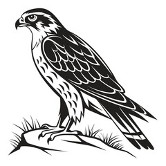 Fototapeta premium Stylized black and white falcon perched on a rock with grass