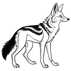 Obraz premium Stylized black and white line art illustration of a jackal