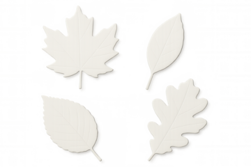 Four white paper cutout leaves including maple, oak, and birch on a transparent background symbolize the fall season