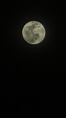 Obraz premium woman is daydreaming thinking about something