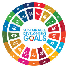 Sustainable Development Goal (SDG)