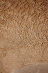 Shallow Water Ripples on a Sandy Beach, abstract beige textured background