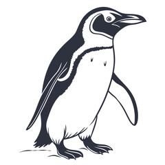 Fototapeta premium Stylized Penguin Vector Illustration.