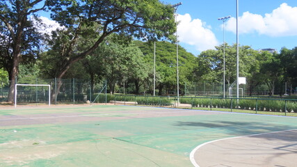 Volleyball in the park