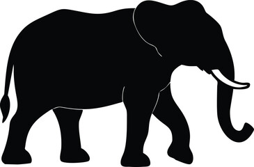 Fototapeta premium elephant isolated on white background