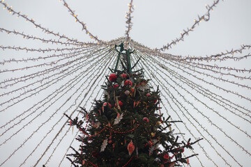 Fototapety na wymiar - Fototapeta24.pl