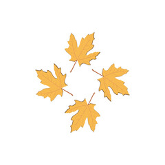 Yellow Maple Leaves Clipart, Four Autumn Leaves in Circular Arrangement