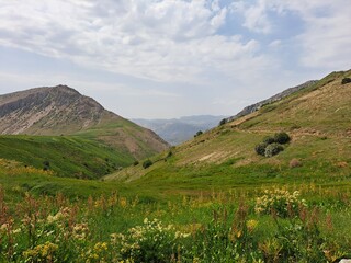 Fototapeta premium Meadow among the Gissar (Hisar) Mountains near the Sarchashma Village in Uzbekistan