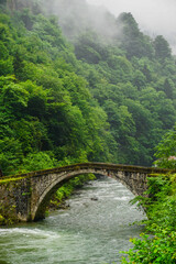 Stuning forest and river views of Karadeniz Black Sea region of Northern Turkey Camlihemsin Cat Village in Rize Turkey
