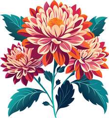 vector illustration of chrysanthemum flowers