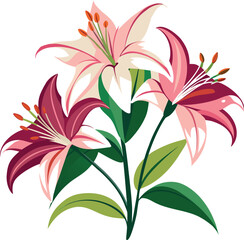 vector illustration of lily flowers