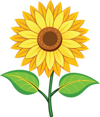 Fototapeta premium Sunflower isolated on transparent background