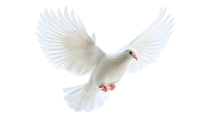 Dove in Flight with Wings Spread Wide Against a Transparent Background Symbolizing Peace