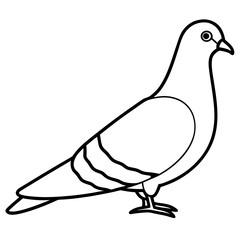 Obraz premium Pigeon bird outline vector, a modern pigeon animal icon art design, black vector of a pigeon, simple pigeon art, a pigeon bird isolated