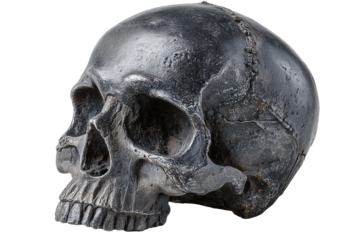 Horror skull mask, realistic texture, isolated on white background