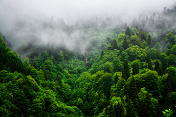 Stuning forest and river views of Karadeniz Black Sea region of Northern Turkey Camlihemsin Cat Village in Rize Turkey