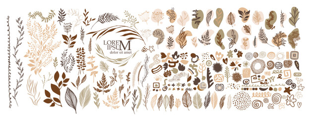 Set of different brown and beige vector flowers . hand drawn. Not AI, Vector illustration.