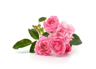 Bouquet of soft pink roses on white background.
