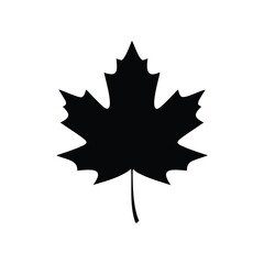 Black maple leaf silhouette nature autumn