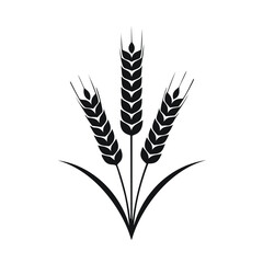 Black wheat stalks with leaves grain agriculture