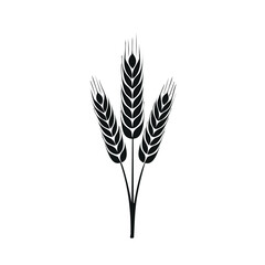 Black wheat stalks on white background grain agriculture