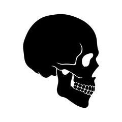 Black human skull silhouette in profile view isolated on white 3.