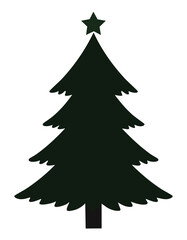 Dark green fir tree with star christmas tree evergreen