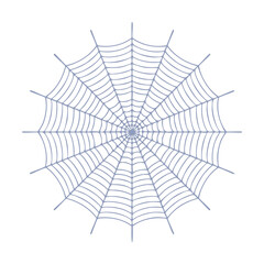 Fototapeta premium Delicate grey spiderweb pattern on white background arachnid insect