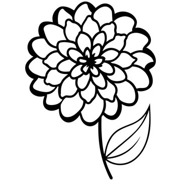 Zinnia flower outline vector, a modern zinnia flower icon art design, black vector of a zinnia flower, simple zinnia flower art, a zinnia flower isolated