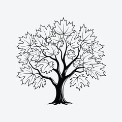 Obraz premium Illustration of a maple tree with leaves, , a symbol of autumn and the changing seasons