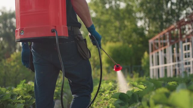 Rear view farmer wearing mask and gloves carrying red tank sprayer fogging crops on green field with sunlight filtering through trees, focused on pest control and plant protection