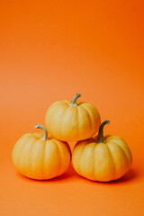 Three small round orange pumpkins piled together on a vibrant orange surface