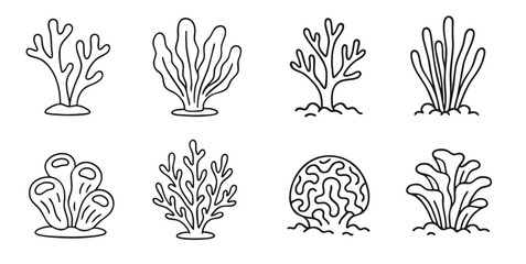 Eigght drawings of coral reef for engraving