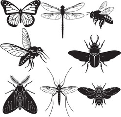 Diverse Insect Collection Black and White Vector Illustration Featuring a Butterfly Dragonfly Bee Beetle Moth Mosquito and Cicada