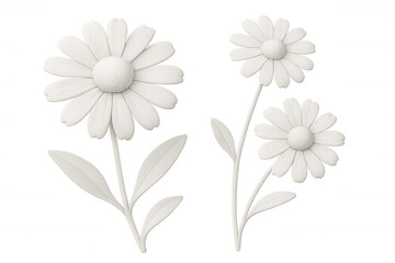 Three white 3d daisy flowers blooming on a transparent background, perfect for spring and summer projects