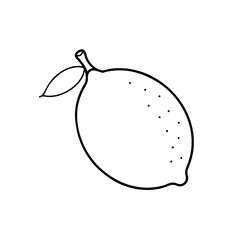 Outline drawing of a lemon with a leaf and stem on a white background simple and minimalist style on transparent background