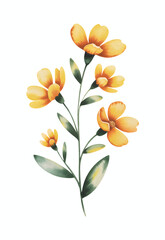 Yellow watercolor floral stem with hand paint leaves, botanical yellow flowers isolated.
