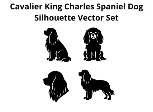 Cavalier King Charles Spaniel Dog Silhouette Vector Set